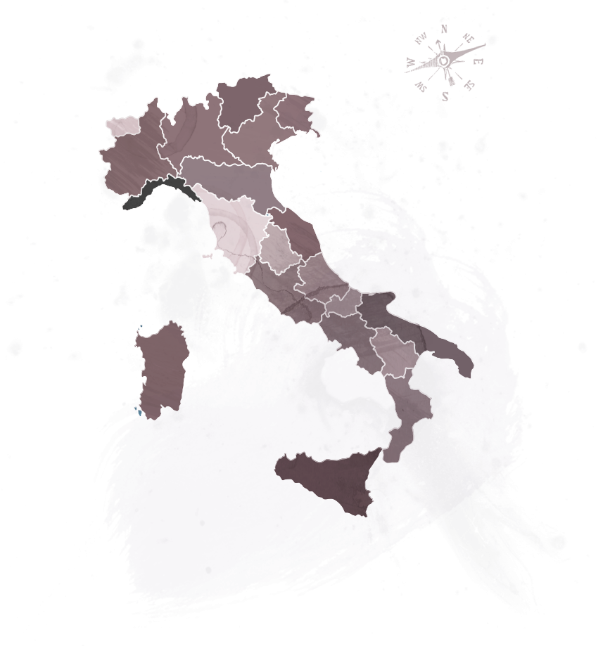 Cartina dell'Italia divisa per regioni